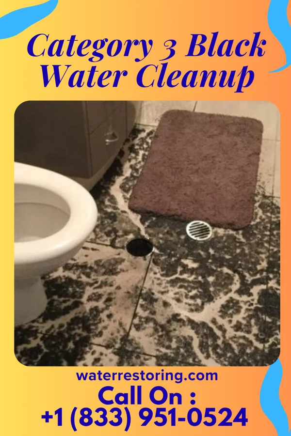 Category 3 Black Water Cleanup in Upper Grand Lagoon, FL
