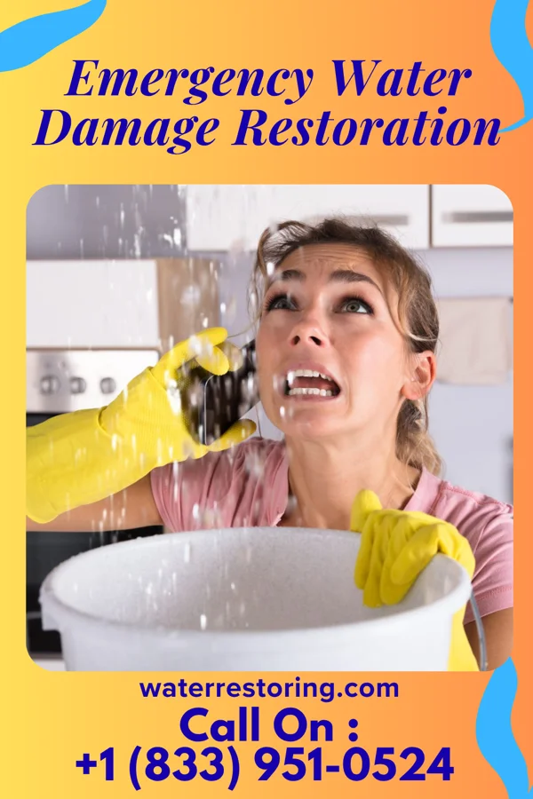 Emergency Water Damage Restoration in Upper Grand Lagoon, FL