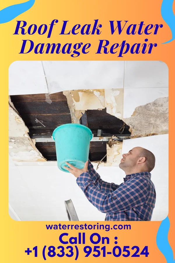 Roof Leak Water Damage Repair in Upper Grand Lagoon, FL